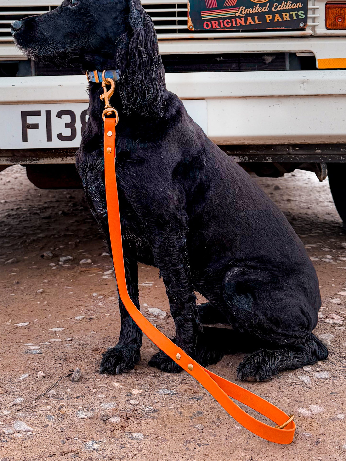 Biothane® All Weather Short leads