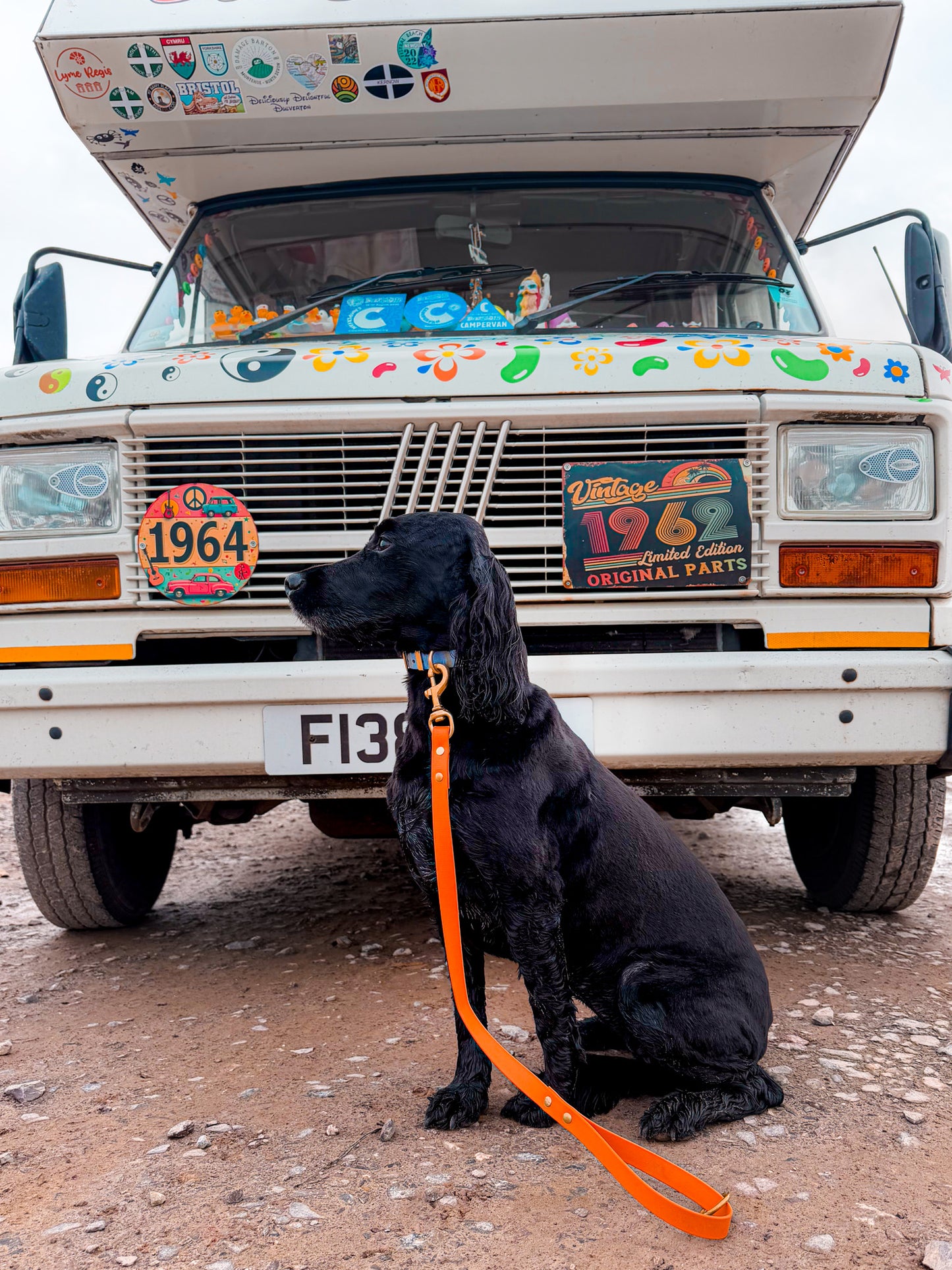 Biothane® All Weather Short leads