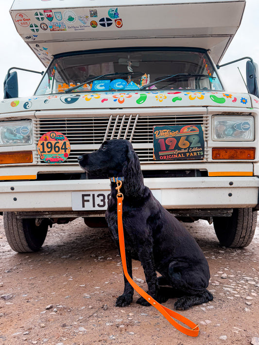 Biothane® All Weather Short leads