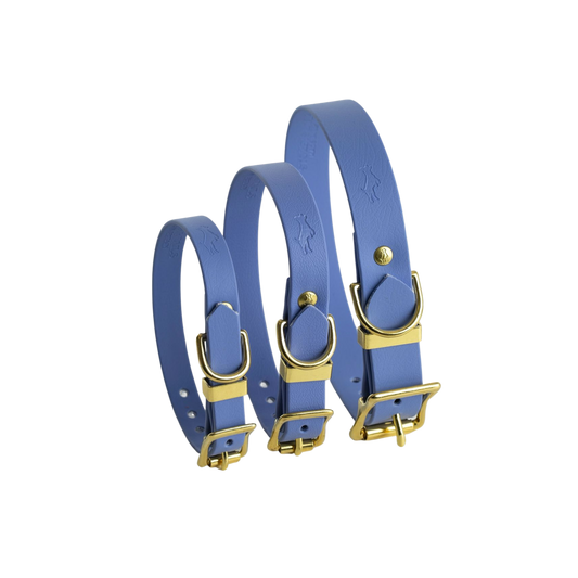 Periwinkle Biothane® All Weather Collar