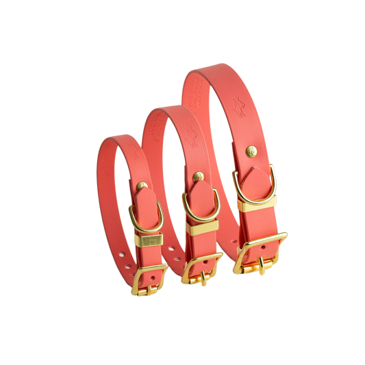 Coral Biothane® All Weather Collar