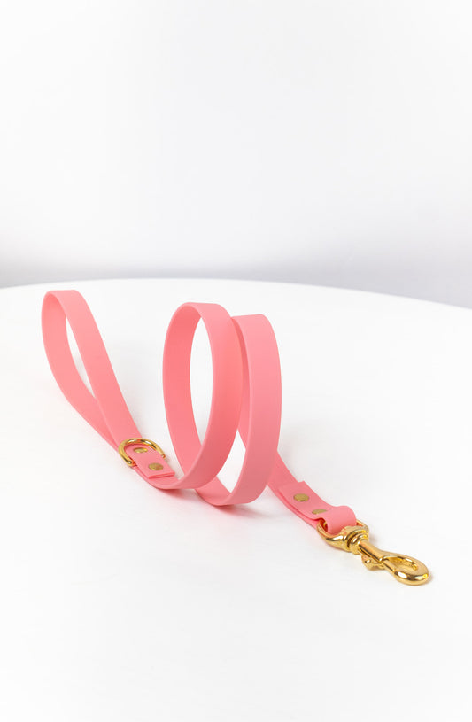 Baby Pink Biothane® All Weather Lead
