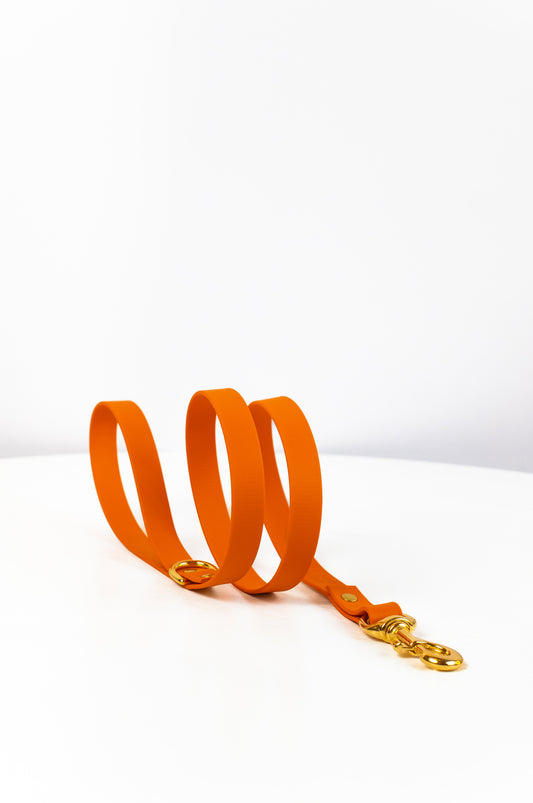 Burnt orange Biothane® All Weather Lead