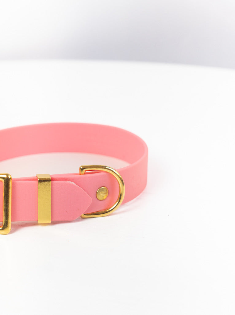 Baby Pink Biothane® All Weather Collar