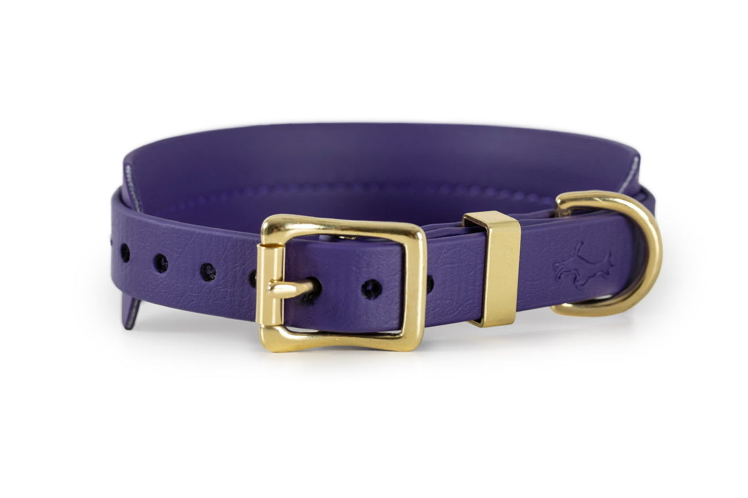 Violet Biothane® Sight hound All Weather Collar