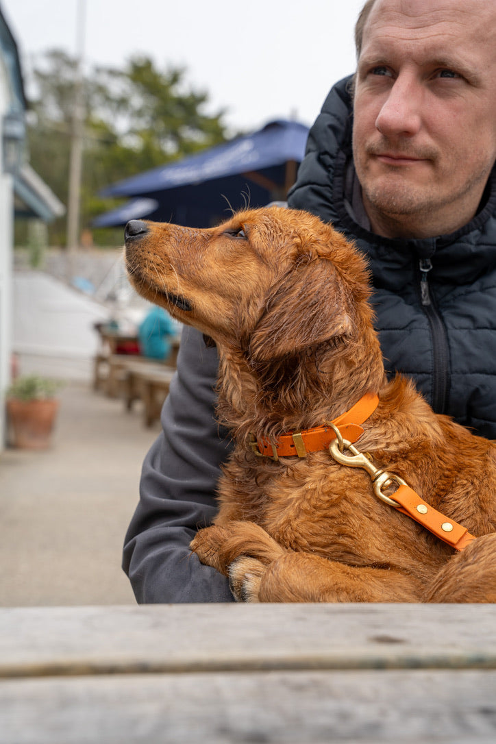 Burnt Orange Biothane® All Weather Collar