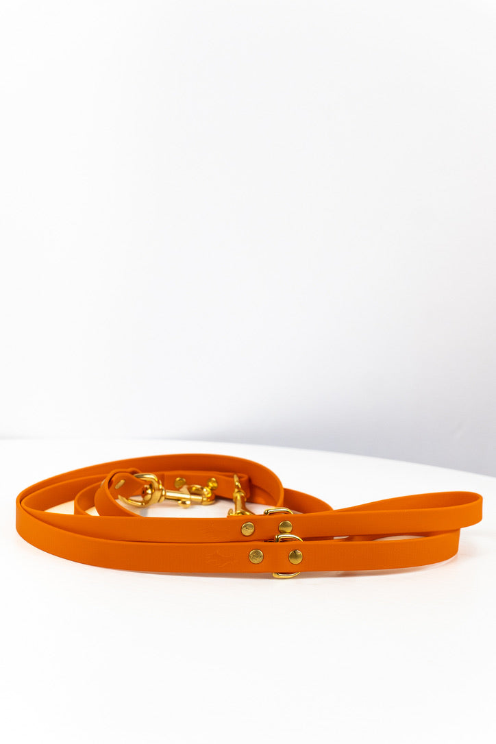 Burnt orange Biothane® All Weather Lead