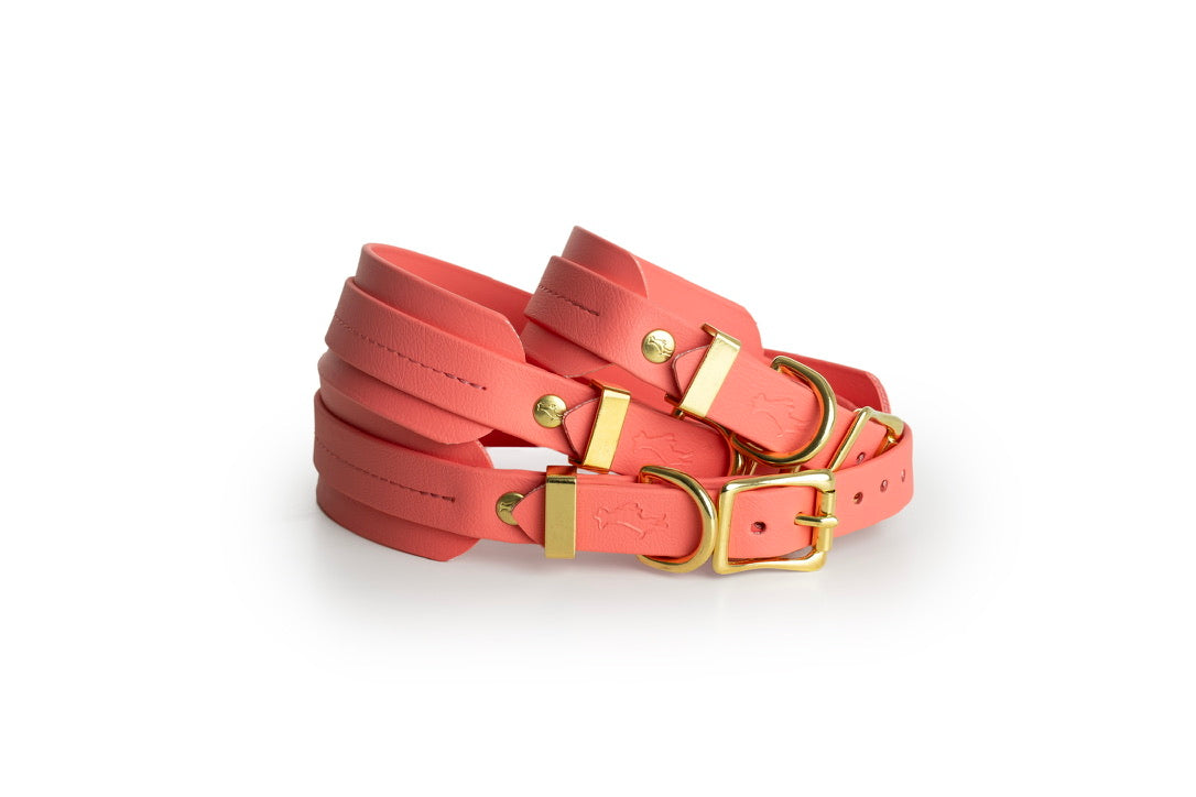 Coral Biothane® Sight hound All Weather Collar