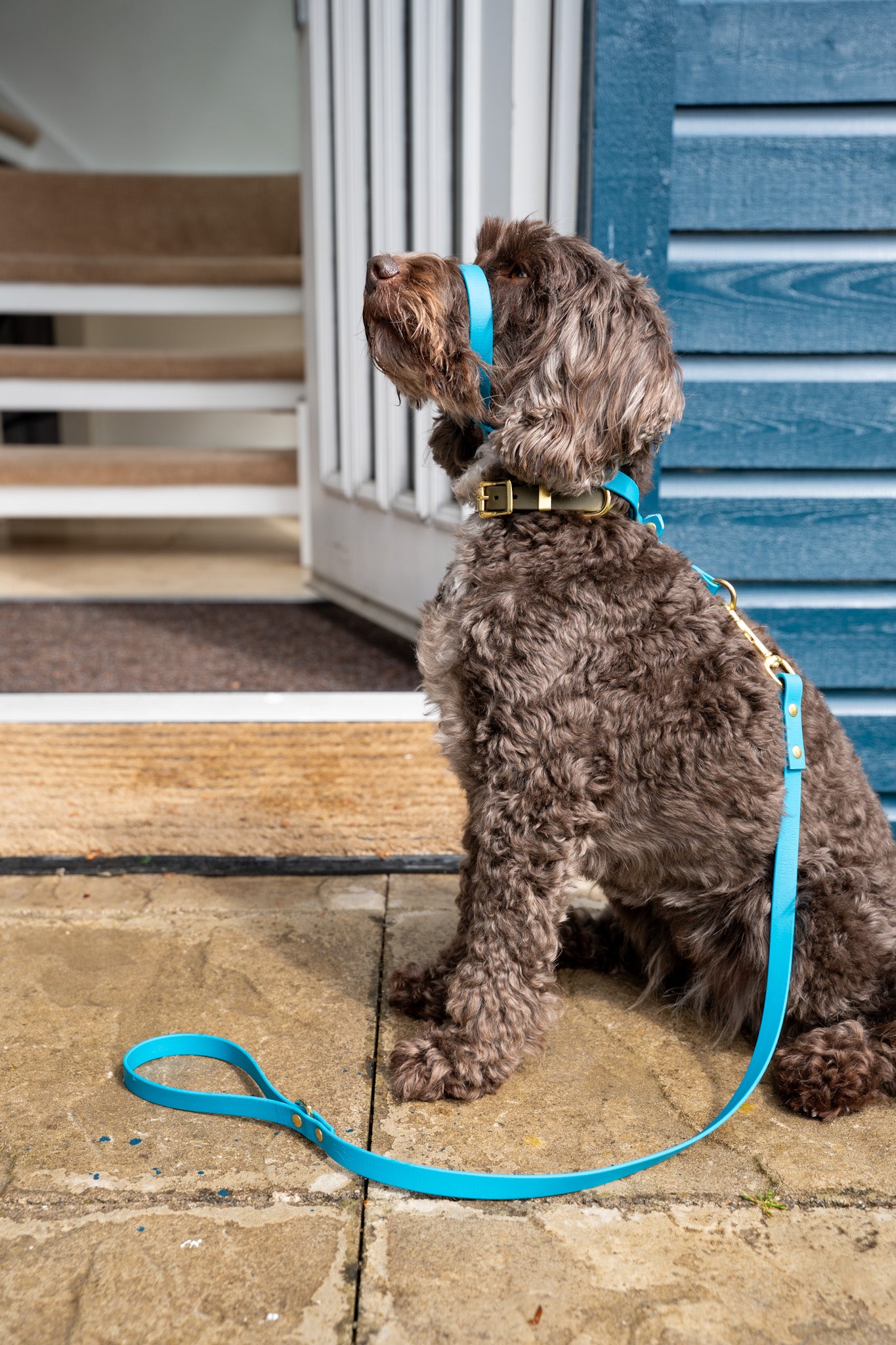 Biothane® All Weather Short leads