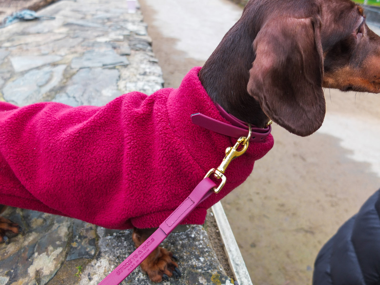 Wine Biothane® Tiny Tails Collar