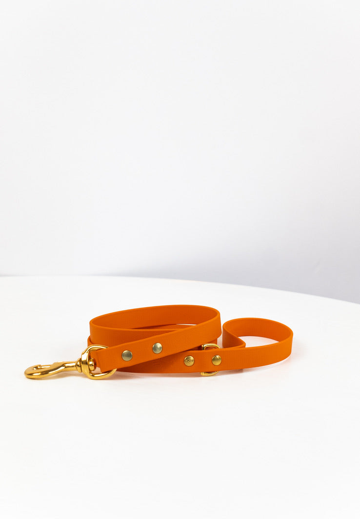 Burnt orange Biothane® All Weather Lead