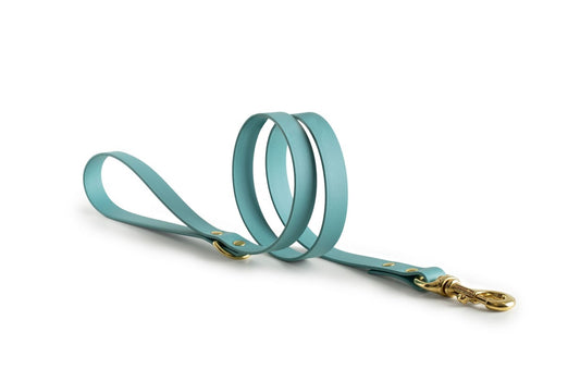 Turquoise Biothane® All Weather Lead