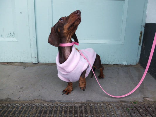 Baby Pink Biothane® Tiny Tails Collar