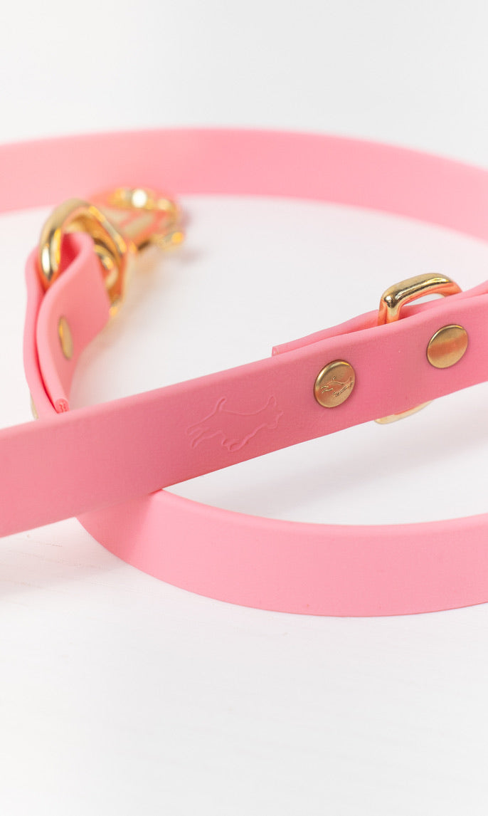 Baby Pink Biothane® All Weather Lead