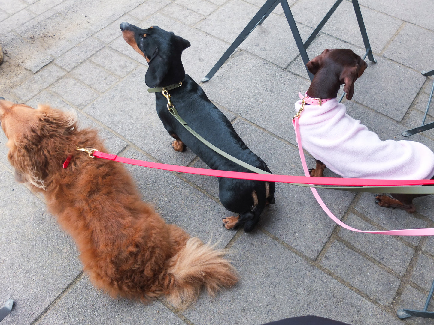 Khaki Biothane® Tiny Tails Collar