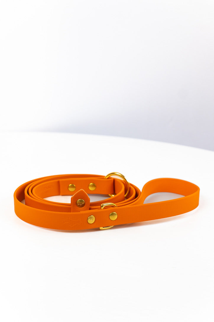 All weather Biothane® slip leads