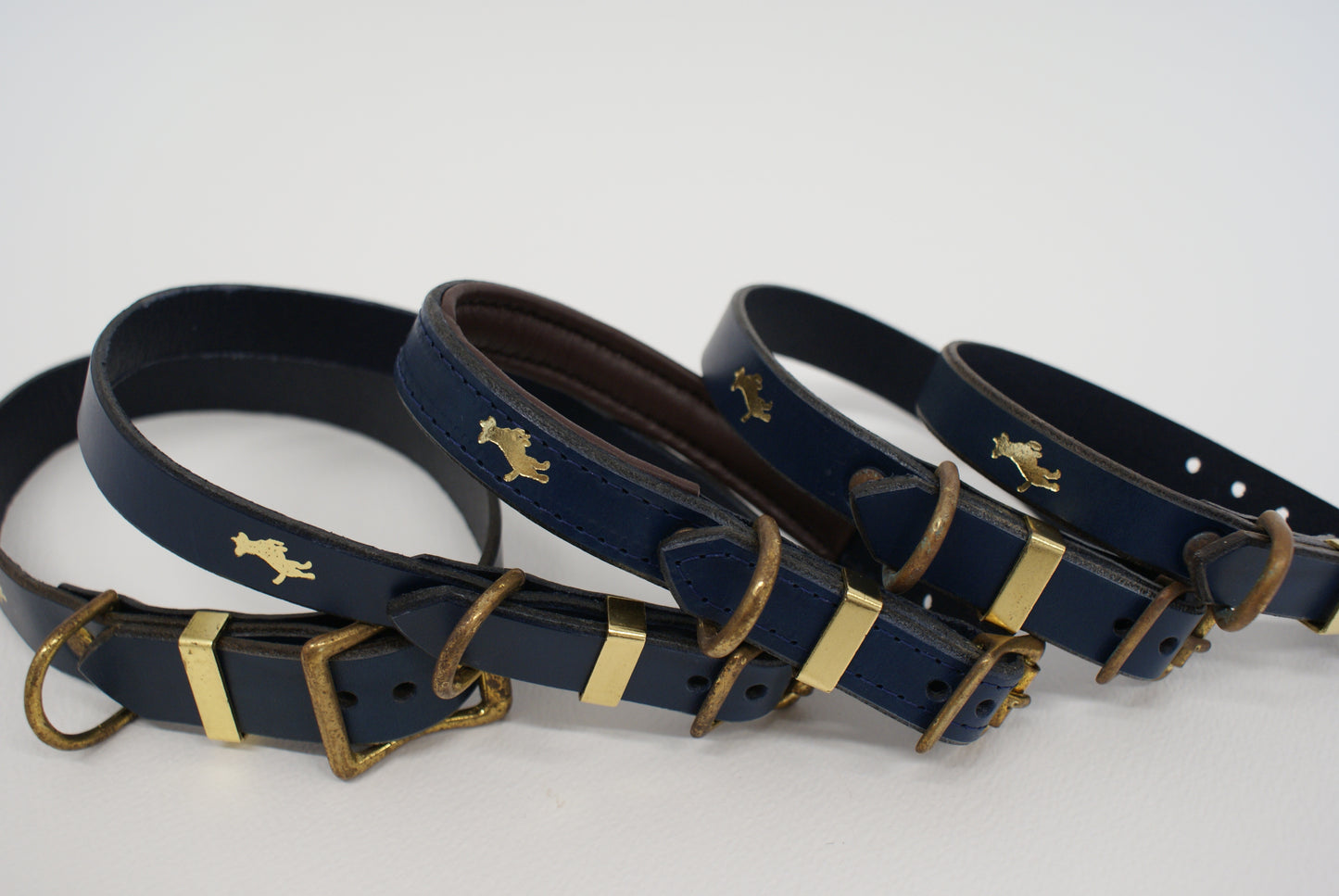 Regal blue Luxury leather dog collar EX DISPLAY SALE