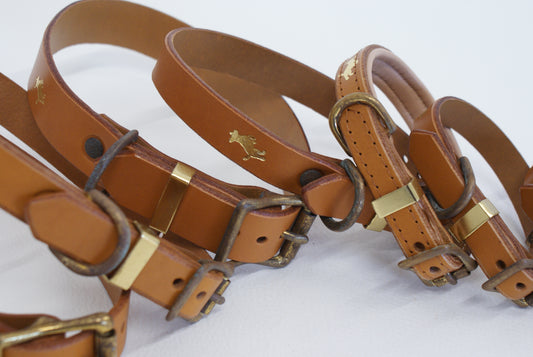 Nacho Luxury leather dog collar EX DISPLAY SALE