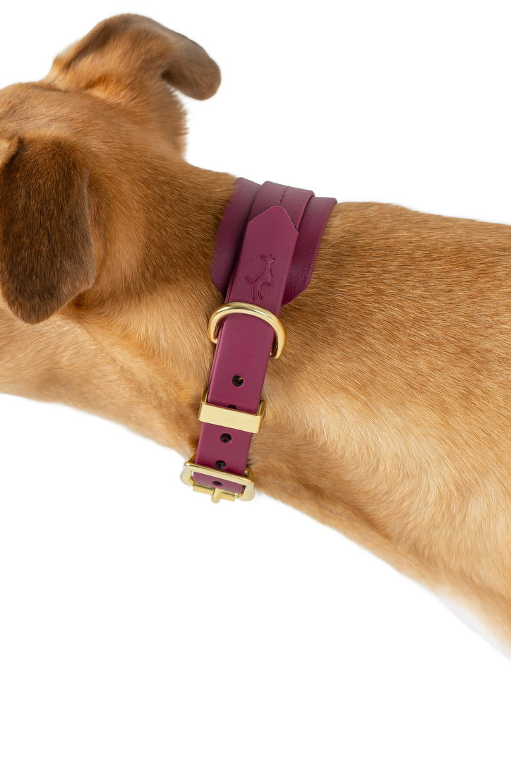 Wine Biothane® Sight hound All Weather Collar