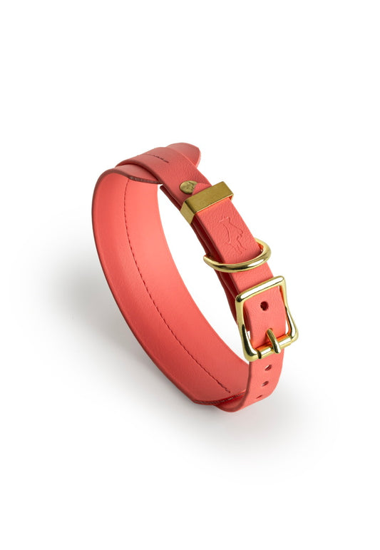 Coral Biothane® Sight hound All Weather Collar