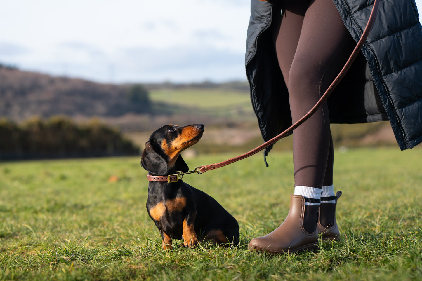 Padded luxury leather lead - Chocolate