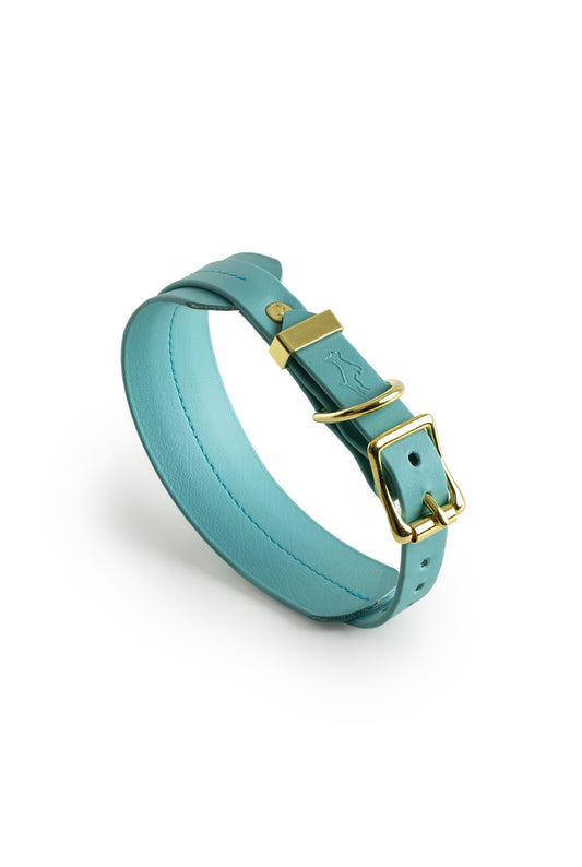 Turquoise Biothane® Sight hound All Weather Collar