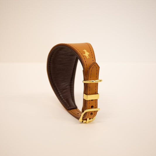 Nacho tan padded Luxury leather sight hound collar