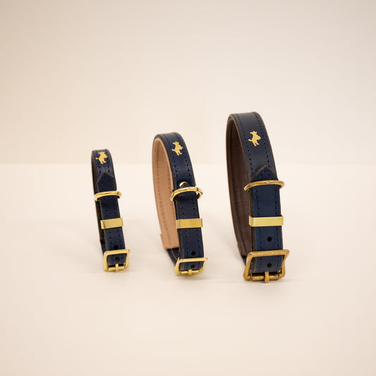 Regal blue padded Luxury leather dog collar
