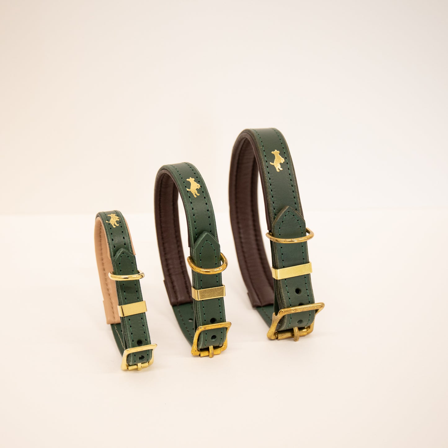 Forest padded Luxury leather dog collar