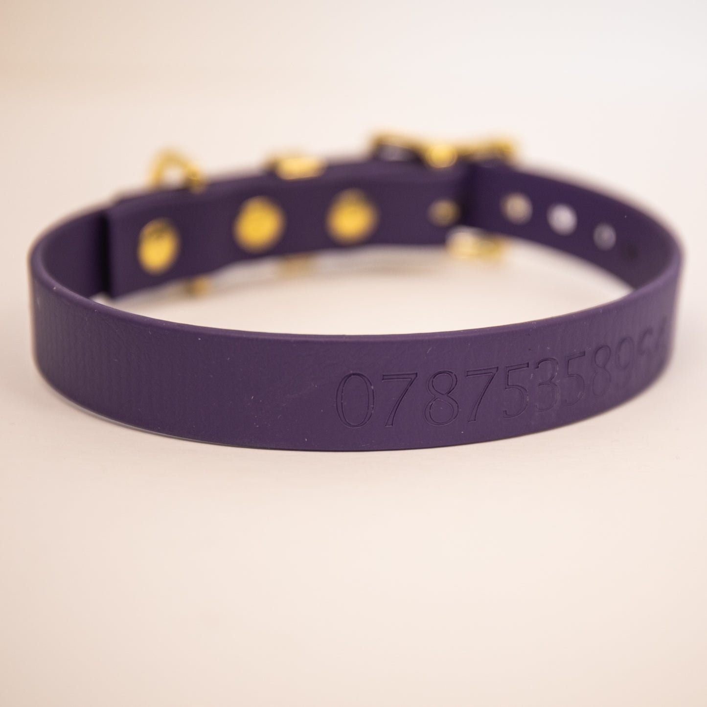 Violet all weather collar