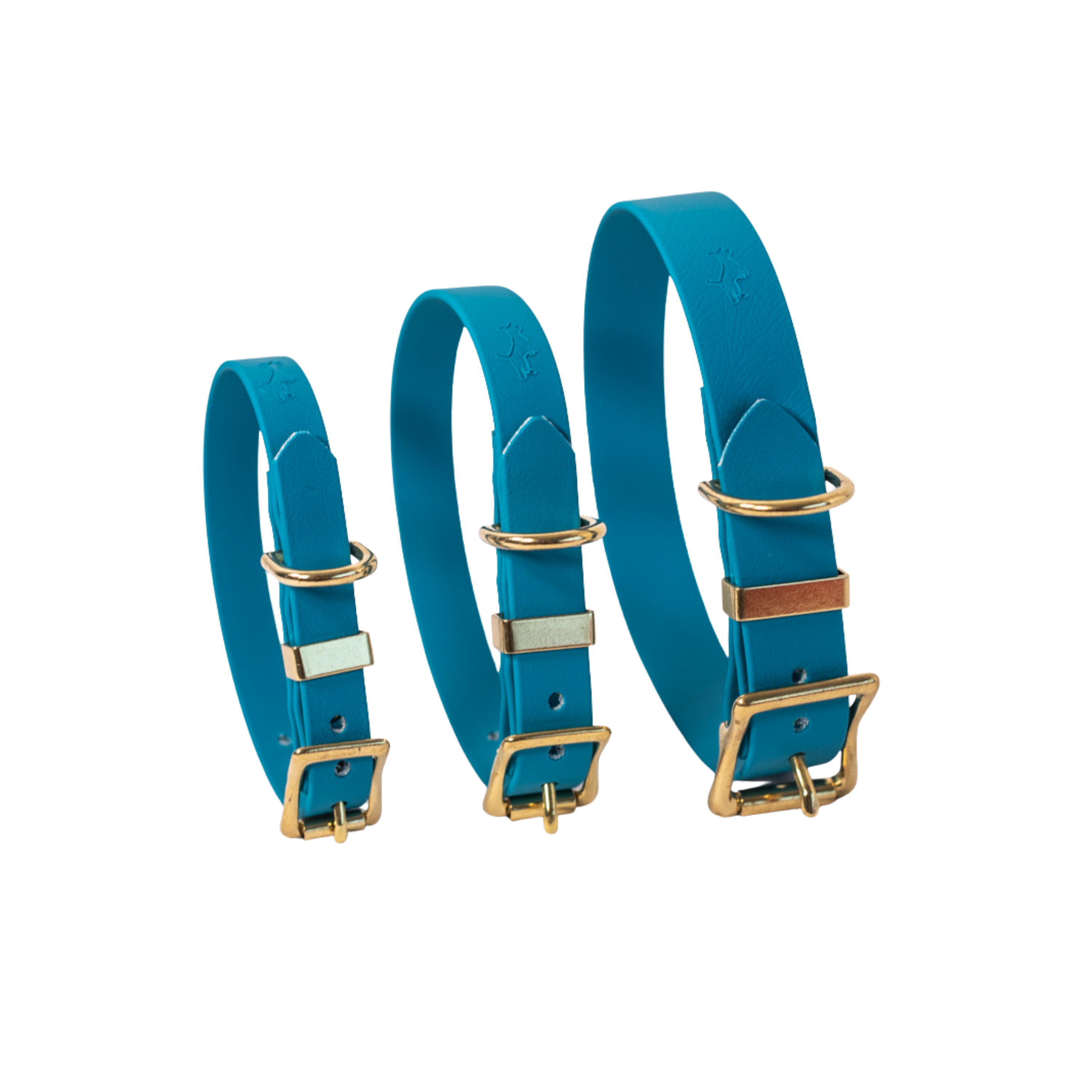Cryogonal Collars Lagoon Biothane® All Weather Collar – Storeys and Tails