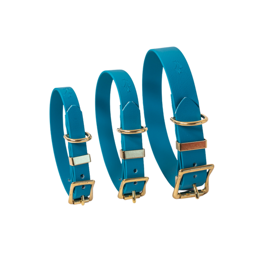 Lagoon Biothane® All Weather Collar