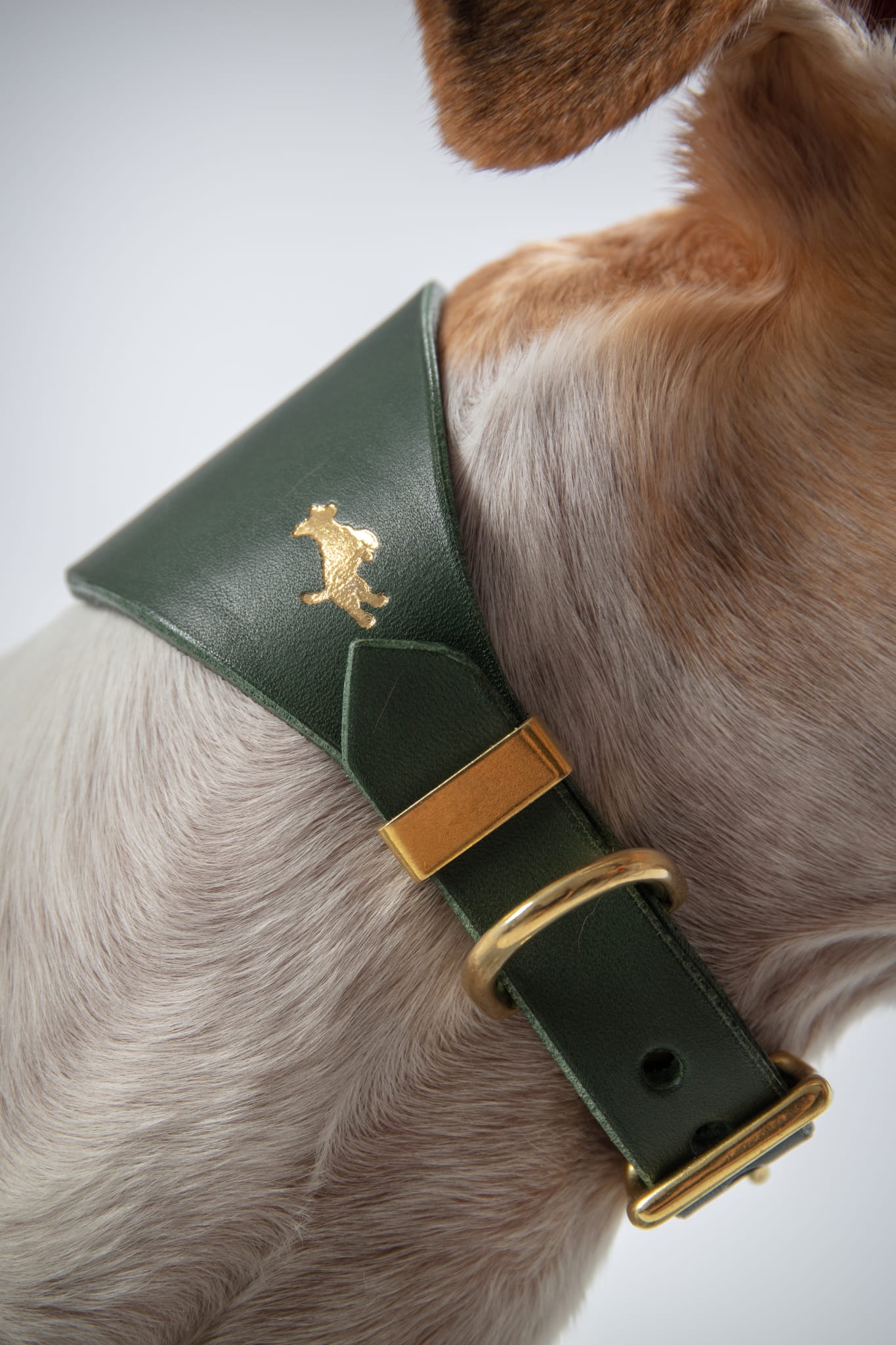 Forest Luxury leather sight hound collar