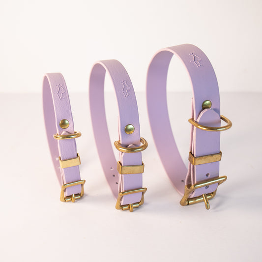 Lilac all weather collar
